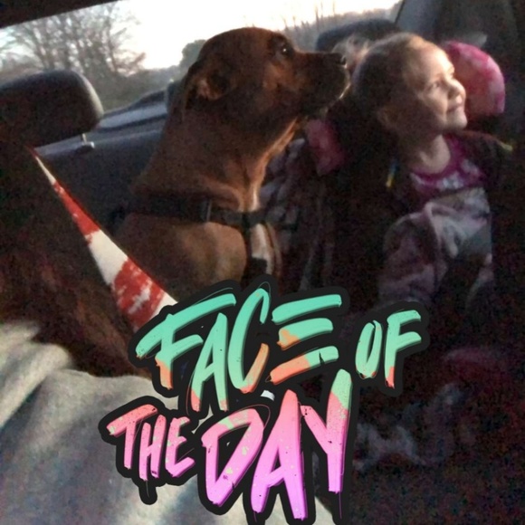 Dog friendly - Picture 2 of 3